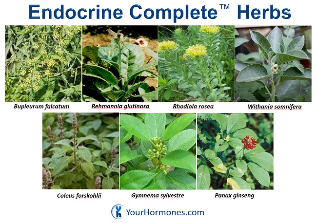 Endocrine Complete Herbs