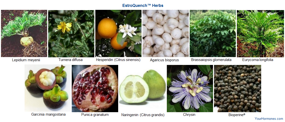 Learn about the herbs in EstroQuench™