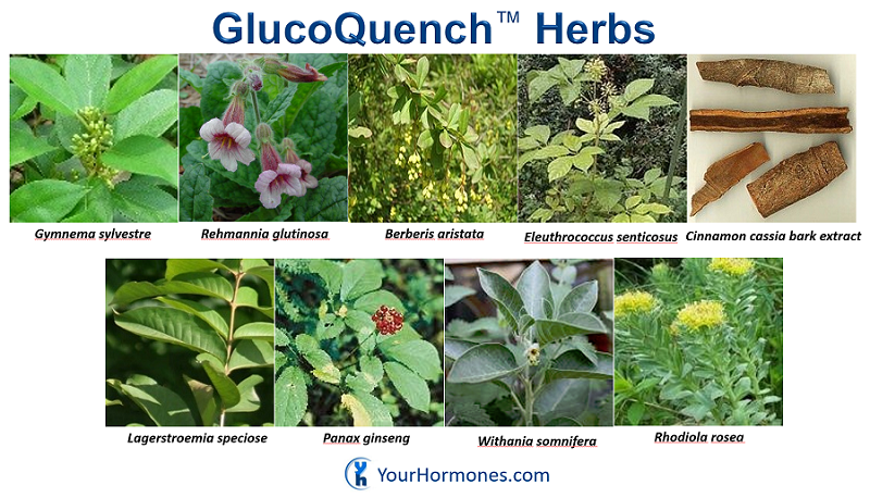 glucoquench-herbs-800x458.png