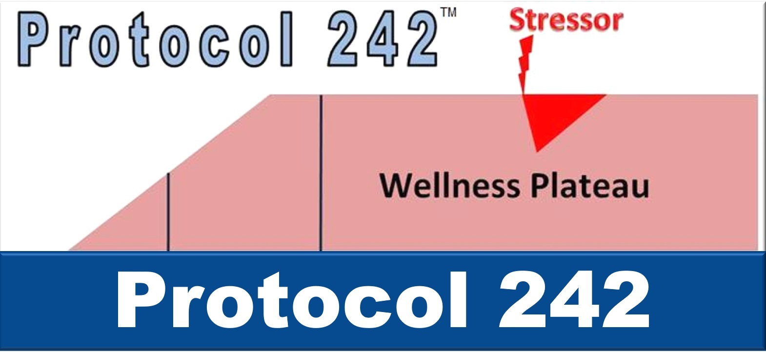 Protocol 24