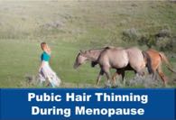 Pubic Hair Thinning During Menopause