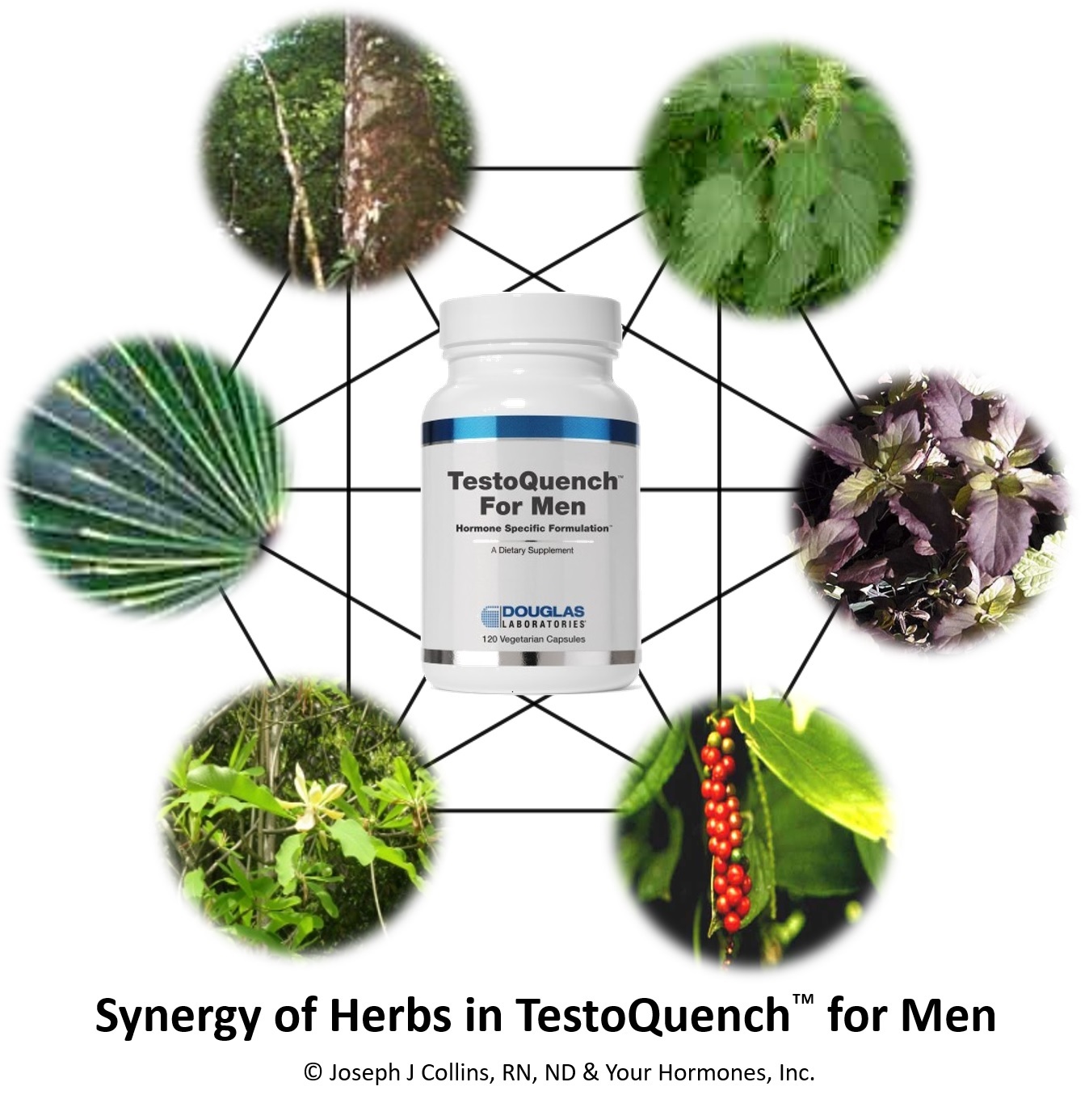 Synergy of Herbs in Testoquench™ For Men