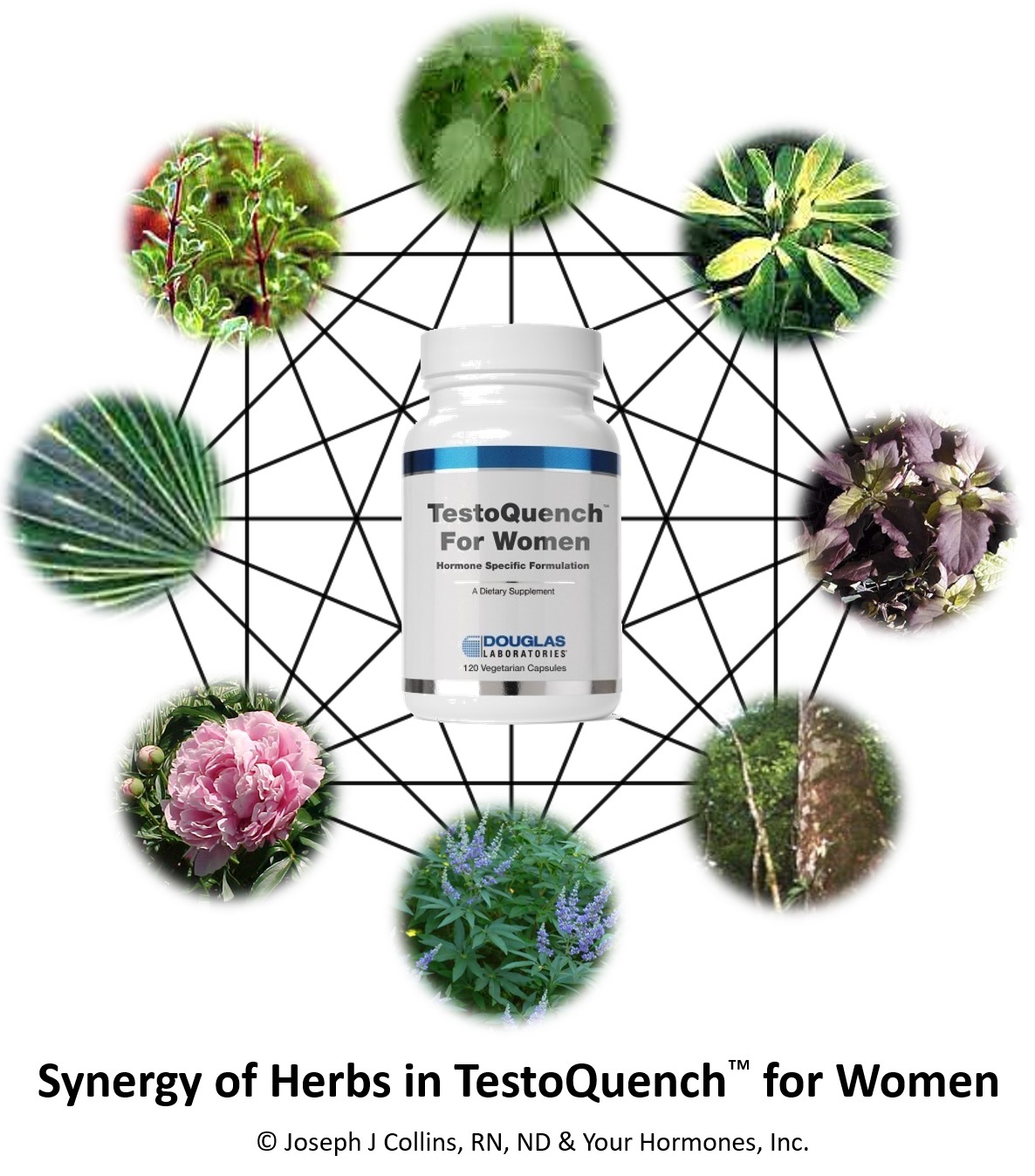 Synergy of Herbs in Testoquench™ For Women