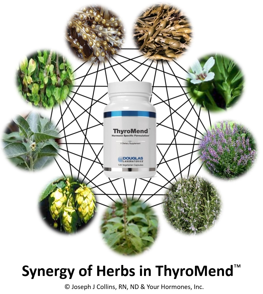 Synergy of Herbs in ThyroMend™