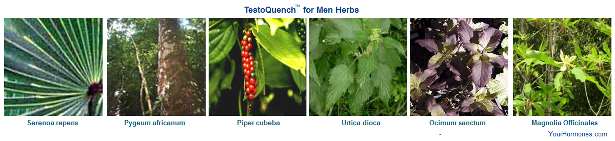 Learn about the herbs in TestoQuench™ for Men at YourHormones.com