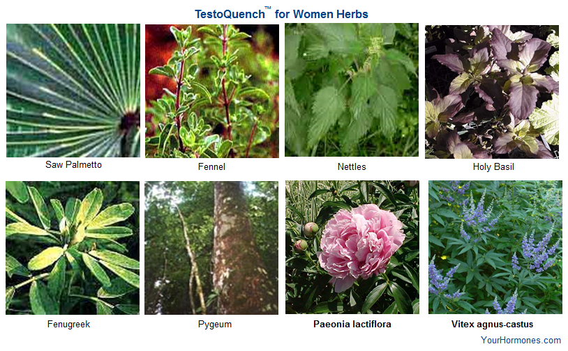 Learn about the herbs in TestoQuench™ for Women at YourHormones.com